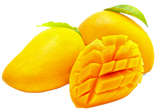 Introduction image